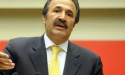 Mehmet Sevigen kimdir? Kaç yaşında, nereli?