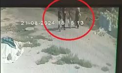 Narin Güran davasında baz raporu tartışması Yargıtay’a taşındı