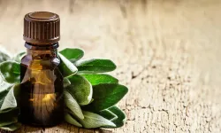 Nioli Yağı Nedir? Doğadan Gelen Bu Güçlü Yağ Gerçekten Nelere İyi Geliyor Mu?