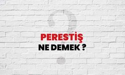 Perestiş Ne Demek? Günlük Hayatta ve Edebiyatta Ne Anlama Gelir?
