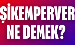 Şikemperver Ne Demek? Osmanlı’dan Günümüze Gelen Bu İlginç Kelimenin Anlamı Ne?