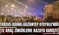 Tarsus-Adana-Gaziantep Otoyolu'nda 12 araç zincirleme kazaya karıştı