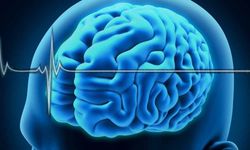 Beynin Bölümleri ve Görevleri Nelerdir? Beyin Nasıl Çalışır, Gerçekten Düşündüğümüz Gibi mi İşliyor?