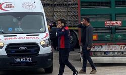 Tırın altında kalan yaşlı adam hayatını kaybetti