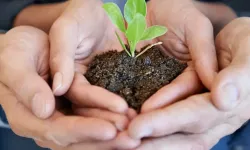 Türkiye'deki En İyi Çevre Danışmanlık Firmaları