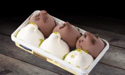 Ünlü markada hijyen skandalı: Dondurmada ölümcül bakteri bulundu