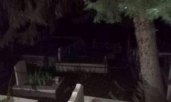 Yalova'da iş adamı mezarlıkta ölü bulundu