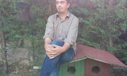 Yenişehir’de ormanda kaybolan İsmail Kaya için arama çalışması başlatıldı!