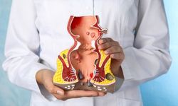 Hemoroid Sanıldığı Kadar Masum Değil! İhmal Edildiğinde Hangi Ciddi Sorunlara Yol Açabiliyor?