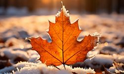 22 Aralık Ne Günü? 22 Aralık Dünyada ve Türkiye’de Ne Günü? 22 Aralık Ne Burcu?