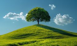 19 Aralık Ne Günü? 19 Aralık Dünyada ve Türkiye’de Ne Günü? 19 Aralık Ne Burcu?