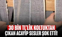 30 Bin TL’lik Koltuktan Çıkan Gerçek  Sesler Şok Etti!
