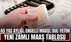 65 Yaş Aylığı, Engelli Maaşı, Dul-Yetim Zamları Belli Oldu! İşte Kuruşu Kuruşuna 2026 Maaş Listesi