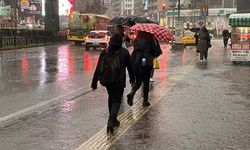 Bursa'da yağışlar çiftçilerin yüzünü güldürdü