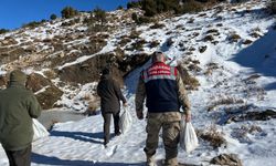 Siirt’te yaban hayvanları için doğaya 750 kilo yem bırakıldı