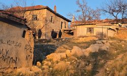 Ankara’da köpek saldırısı! 14 yaşındaki çocuk ağır yaralandı