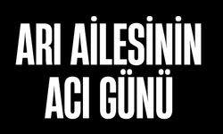 Arı Ailesinin Acı Günü