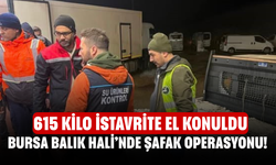 Bursa Balık Hali’nde Şafak Operasyonu! 615 Kilo İstavrite El Konuldu