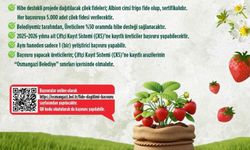 Bursa'da Çiftçilere Büyük Destek! Yüzde 50 Hibeli Çilek Fidesi