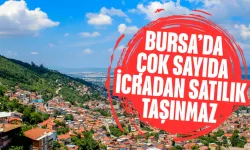 Bursa’da çok sayıda konut, tarla ve zeytinlik ihaleyle satışa çıkarıldı