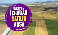 Bursa’da çok sayıda tarla ve arazi icradan satışa çıkıyor