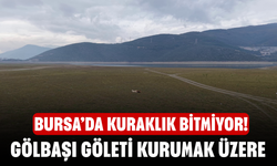 Bursa'da kuraklık bitmiyor! Gölbaşı Göleti kurumak üzere
