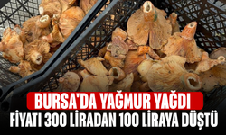 Bursa'da yağmur yağdı! Fiyatı 300 liradan 100 liraya düştü