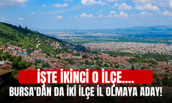 Bursa'dan da iki ilçe il olmaya aday! İşte ikinci ilçe....