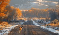 24 Aralık Ne Günü? 24 Aralık Dünyada ve Türkiye’de Ne Günü? 24 Aralık Ne Burcu?