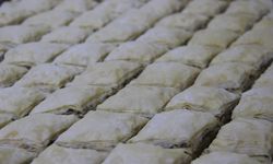 Coğrafi İşaretler Türkiye’yi Ayağa Kaldırabilir