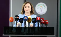 DEM Parti’den yasal düzenleme çağrısı: Eşitlik ilkesi uygulanmalı