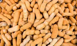 Demirhindi Nedir, Ne İşe Yarar? İşte Demirhindinin Faydaları, Kullanım Şekilleri ve Merak Edilenler