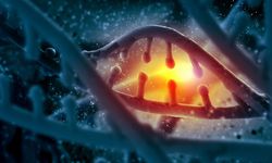 DNA Hasarını Onarabilen İlk İlaç Geliştirildi! TY1 Tedavide Yeni Bir Çağı Başlatabilir