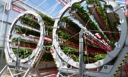 Dyson, Tarımda Dönüşümlü Silindir Sistemiyle Rakiplerini Solladı!