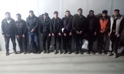 Edirne'de 20 kaçak göçmen sınırda yakalandı
