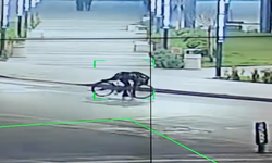 İnegöl’de bulunan para sahibine teslim edildi