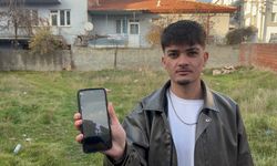 Eskişehir'de boş arsada 8 ölü kedi bulundu