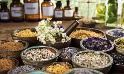 Fitoterapi Nedir? Bitkilerle Tedavi Mümkün mü?