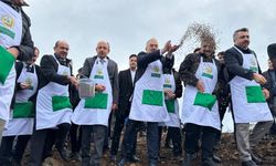 Harmancık’ta yanan 4 bin hektar orman için yeniden ağaçlandırma başladı