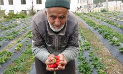 Hayır Bahçesi’nin Sahibi İbrahim Çakmakçı Bahçesinde Hayatını Kaybetti
