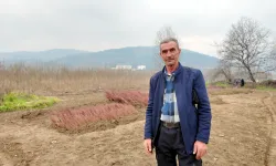 İnegöl Cerrah’tan Dünyaya Fidan İhracatı: Üretim 15 Milyona Ulaştı