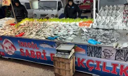 İnegöl'de Balık Fiyatları Belli Oldu! Hamsi, Çupra, Levrek...