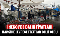 İnegöl'de hamsiden levreğe pazarda balık fiyatları belli oldu
