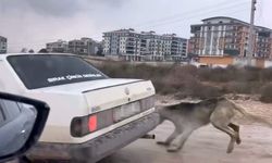 İnegöl'de köpeği aracın arkasına bağlayarak seyretti