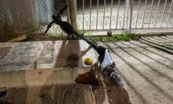 İnegöl’de Scooter Kazasında Yaralanan Genç, Günler Sonra Hayatını Kaybetti