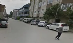 İnegöl'de sokak köpekleri okula giden kadın öğretmene saldırdı