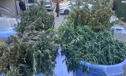 İzmir'de tek operasyonda 3 milyon uyuşturucu hap ele geçti! 46 tutuklama