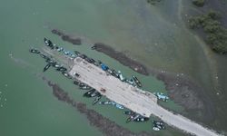 Karacabey Ovası’nda Çeltik Ekimi Kuraklık Nedeniyle Yasaklandı