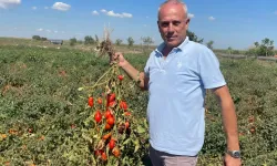 Karacabeyli Seçim Gezegen'in ilginç isminin hikayesi