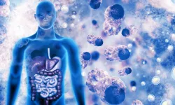 Katabolizma Nedir? Vücut Enerjiyi Nasıl Üretiyor, Bu Sürecin Günlük Hayattaki Önemi Ne?